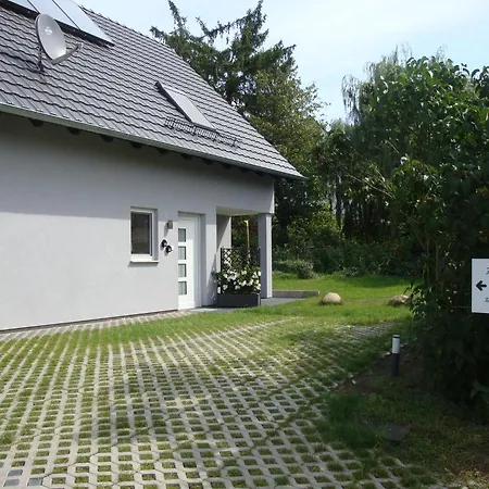 Stuebgen *